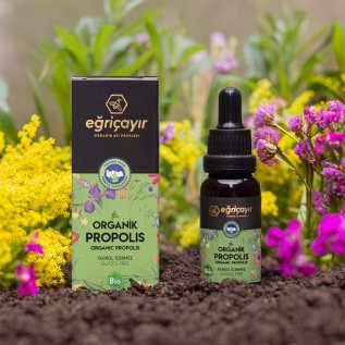 EĞRİÇAYIR%20-%20ORGANİK%20PROPOLİS%20-%20ALKOL%20BAZLI%2020%20ML