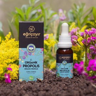 EĞRİÇAYIR - ORGANİK PROPOLİS - SU BAZLI 20 ML