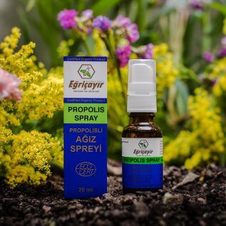 EĞRİÇAYIR - ORGANİK PROPOLİS AĞIZ SPREYİ 20 ML