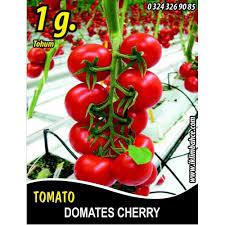 PAKET TOHUM -  CHERRY DOMATES - ÇERİ