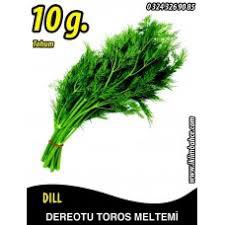 PAKET TOHUM -  DEREOTU