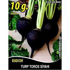 PAKET TOHUM -  SİYAH TURP